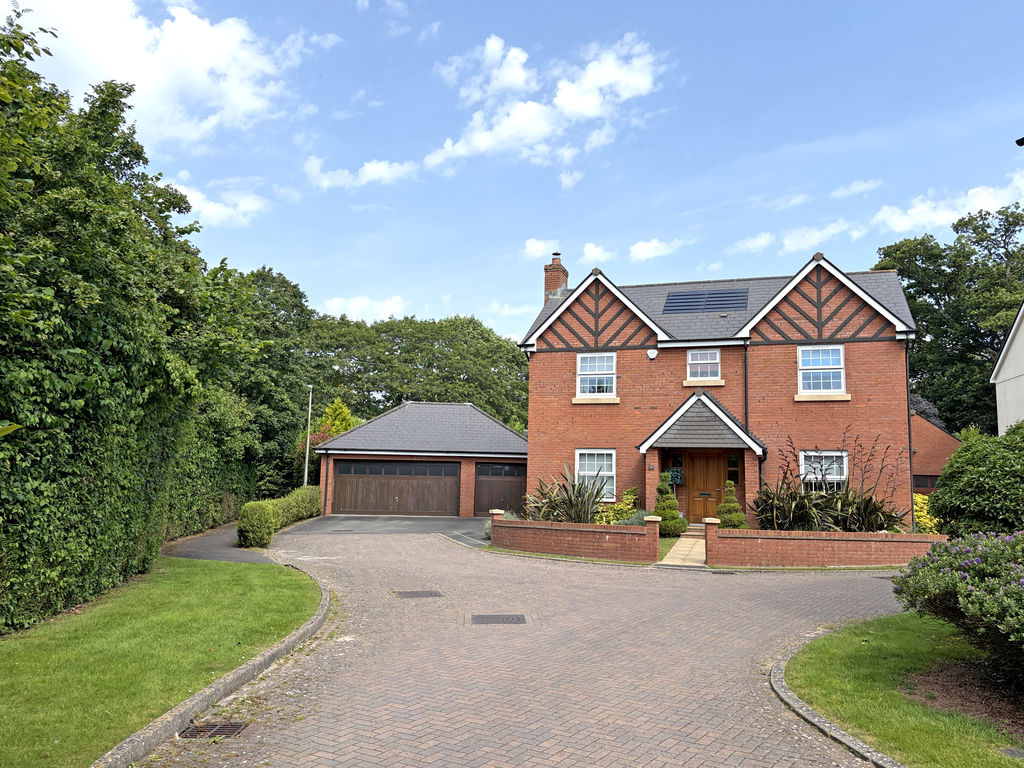 Main Image